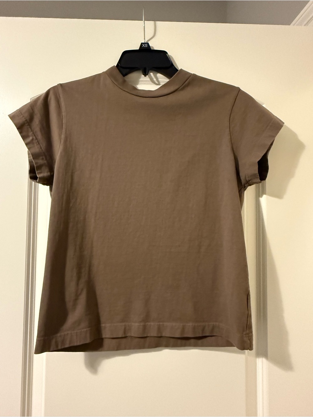 Agolde Short Sleeve Mock Neck Tee - Taupe Brown